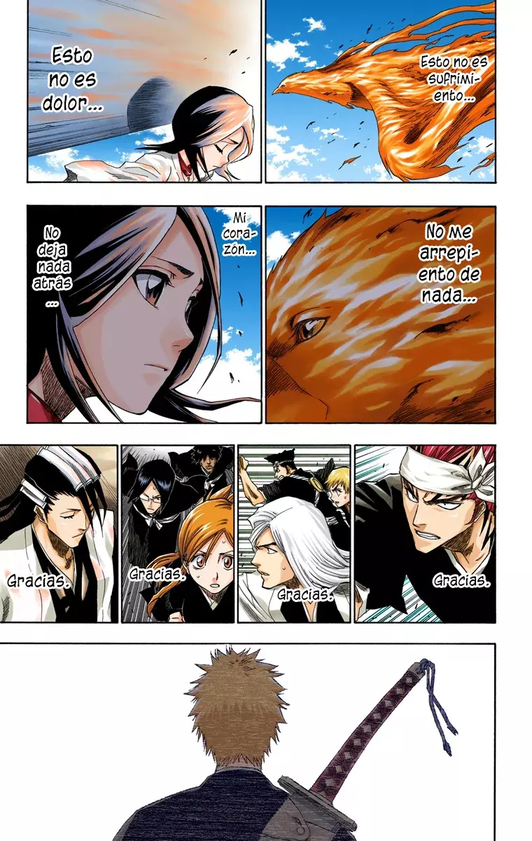 Read Bleach Full Color ES Manga Online