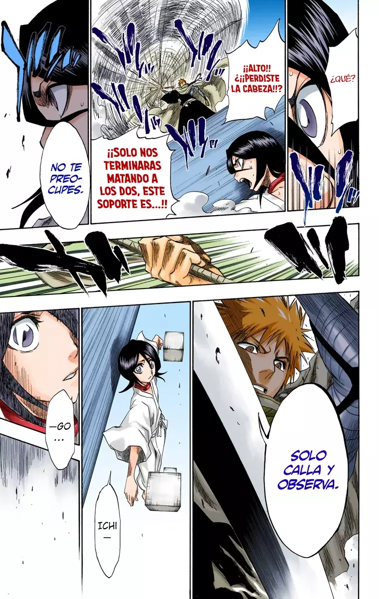 Read Bleach Full Color ES Manga Online