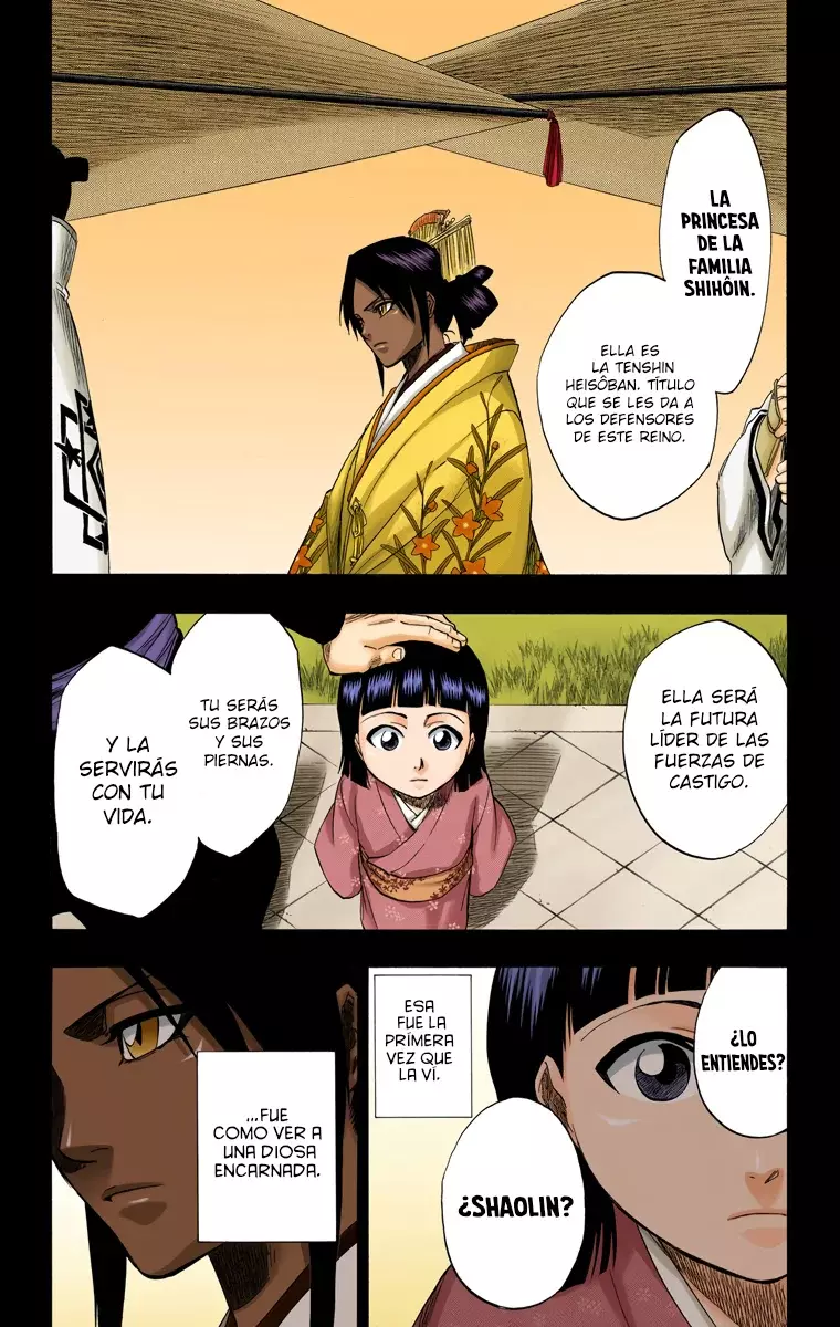 Read Bleach Full Color ES Manga Online