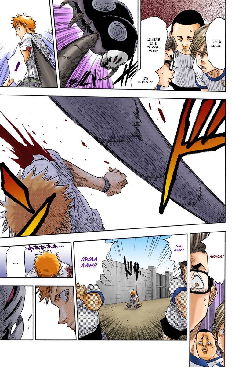 Read Bleach Full Color ES Manga Online