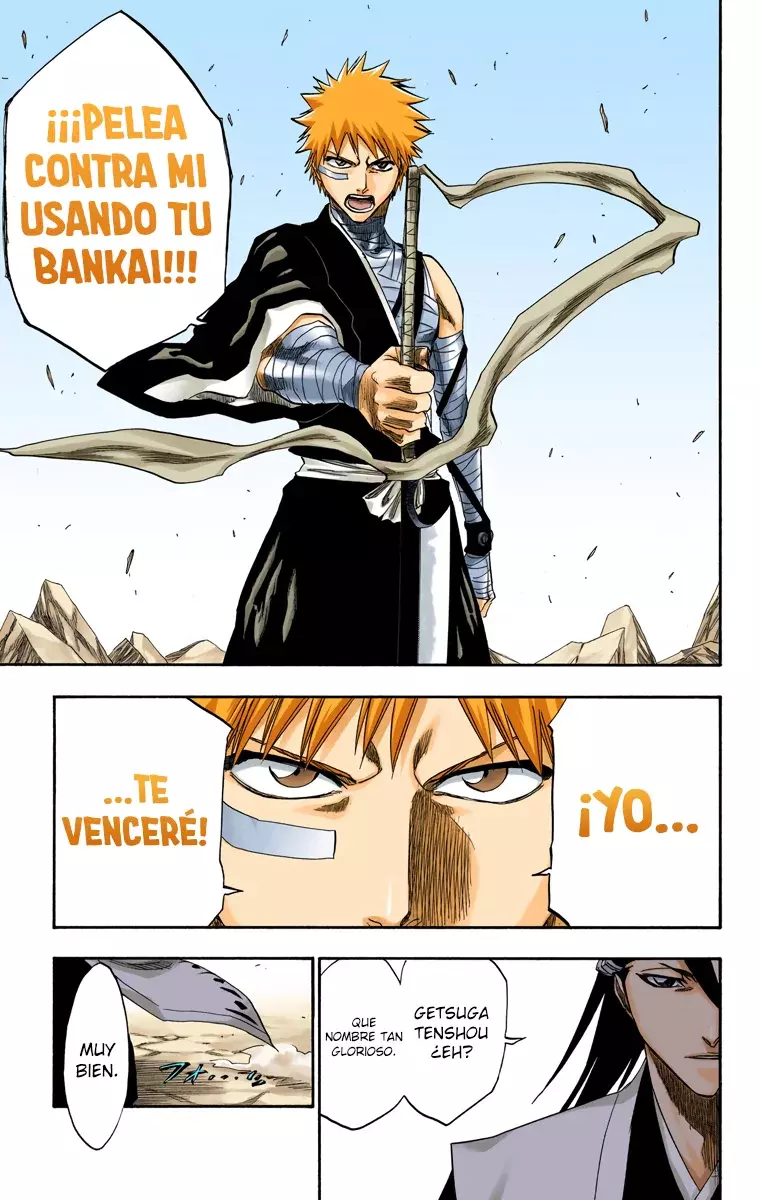 Read Bleach Full Color ES Manga Online