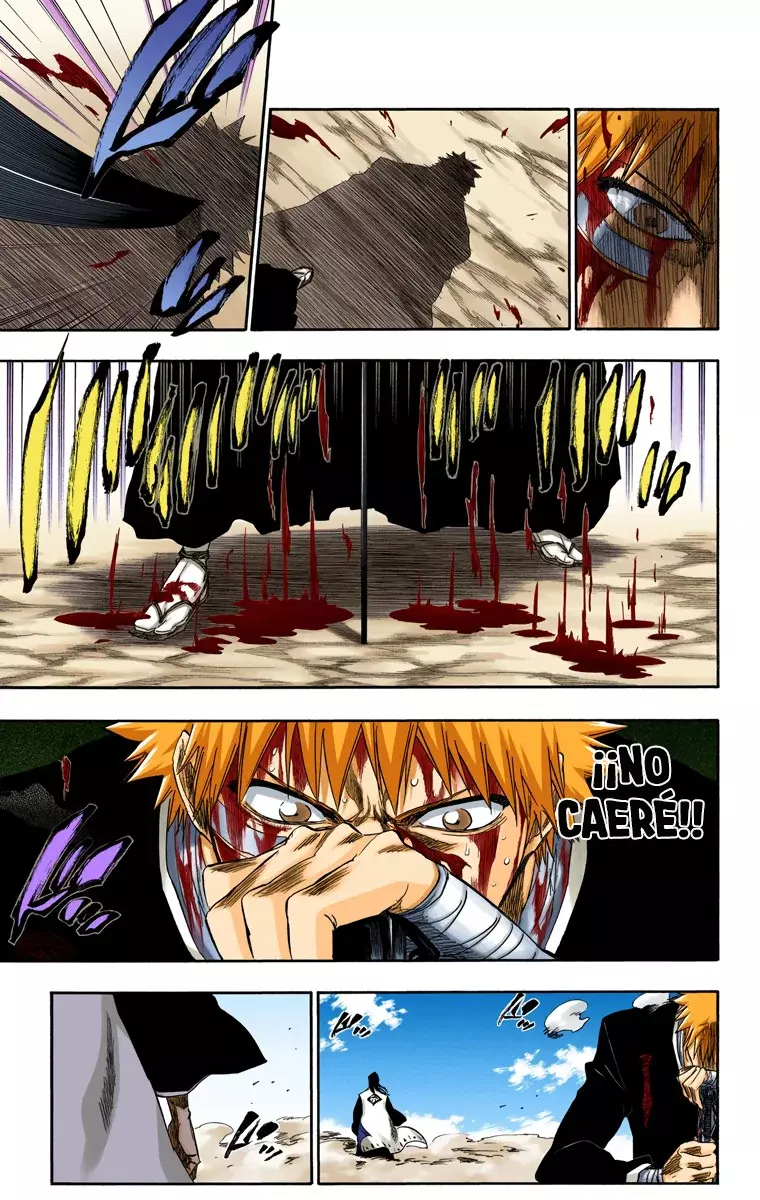Read Bleach Full Color ES Manga Online