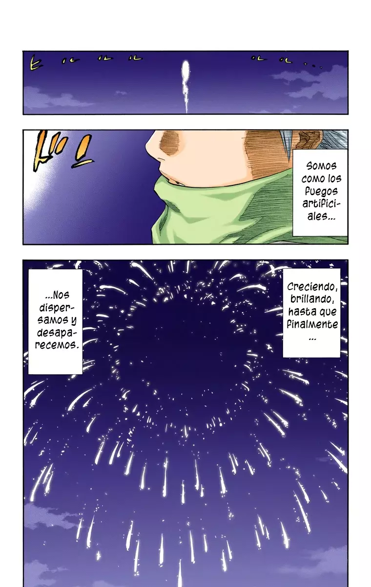 Read Bleach Full Color ES Manga Online