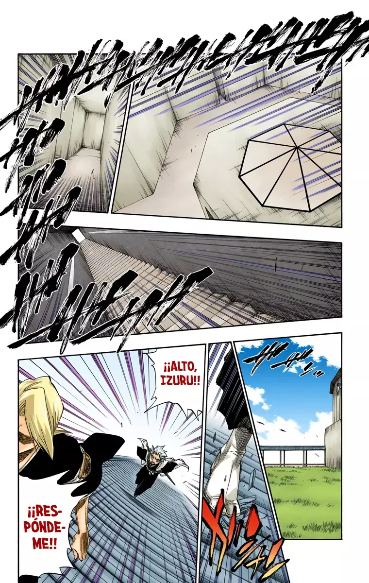 Read Bleach Full Color ES Manga Online