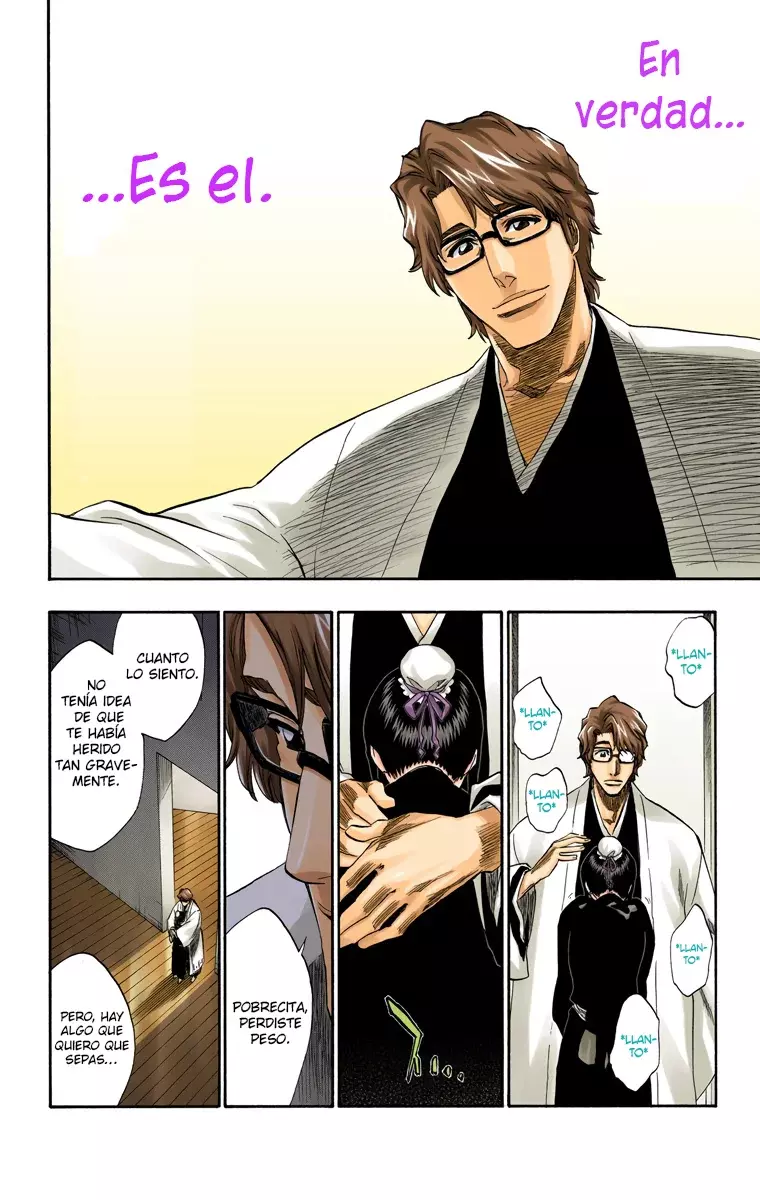 Read Bleach Full Color ES Manga Online