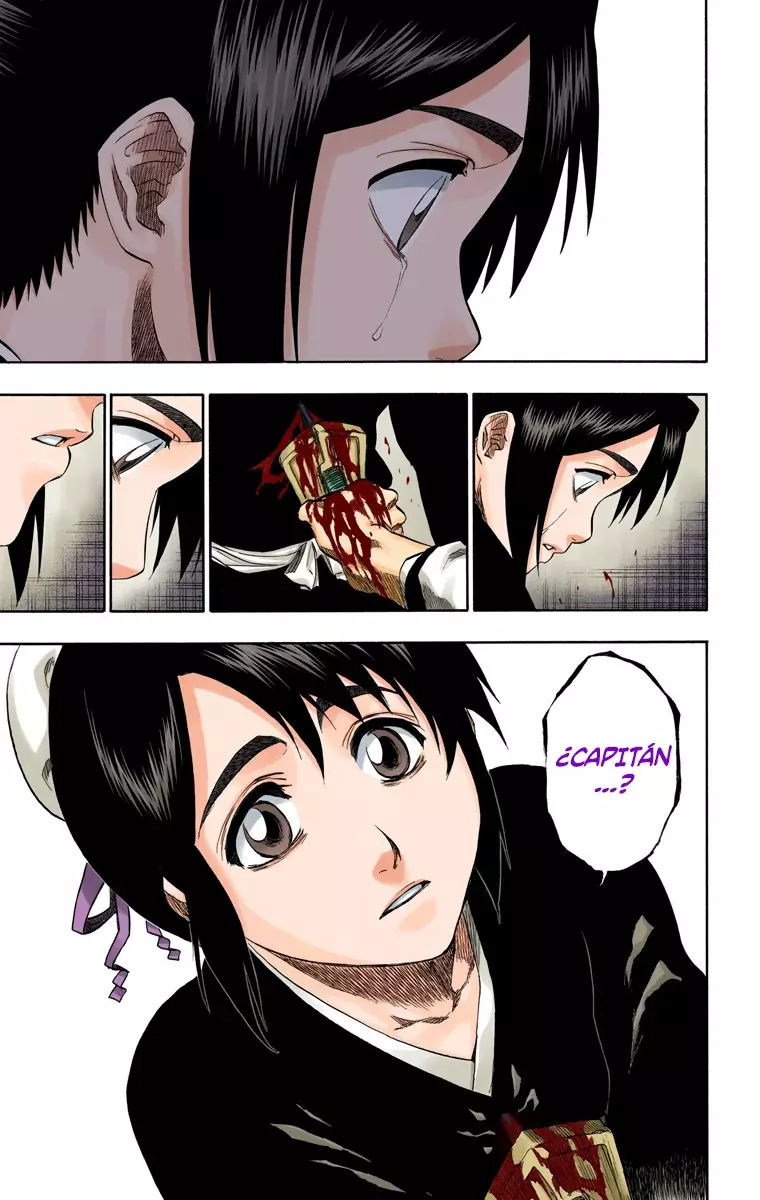 Read Bleach Full Color ES Manga Online
