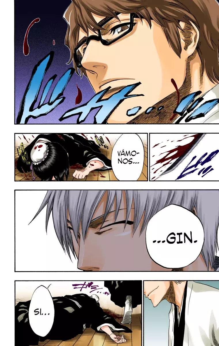 Read Bleach Full Color ES Manga Online