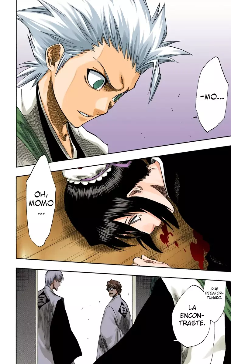 Read Bleach Full Color ES Manga Online