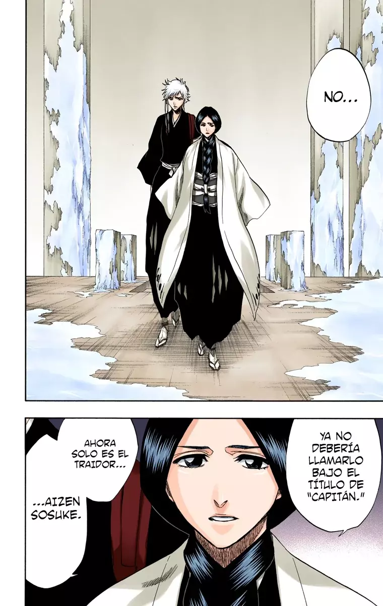 Read Bleach Full Color ES Manga Online