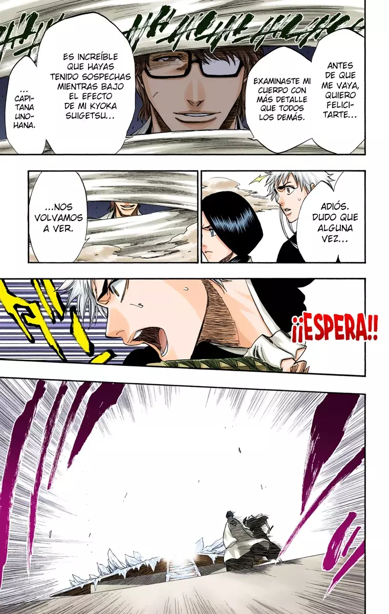 Read Bleach Full Color ES Manga Online