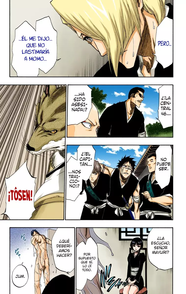 Read Bleach Full Color ES Manga Online