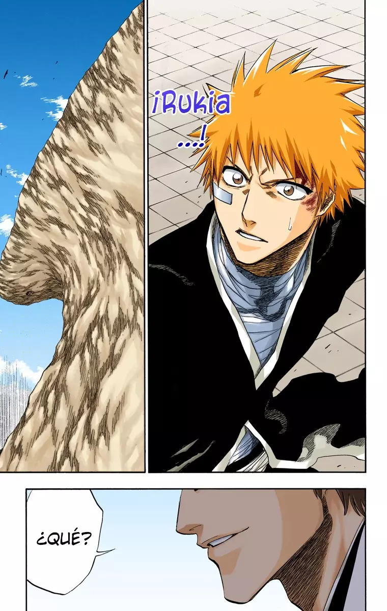 Read Bleach Full Color ES Manga Online