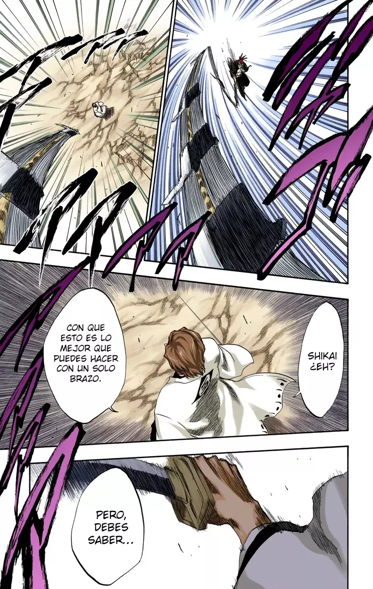 Read Bleach Full Color ES Manga Online