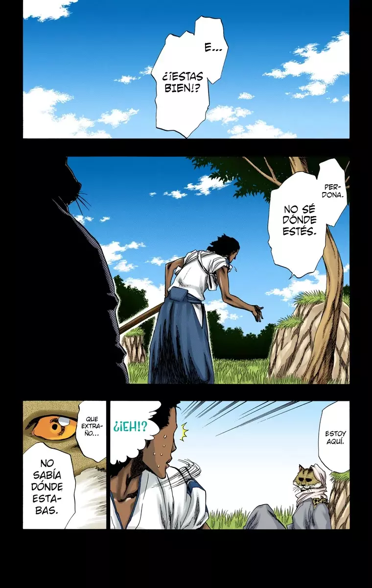 Read Bleach Full Color ES Manga Online