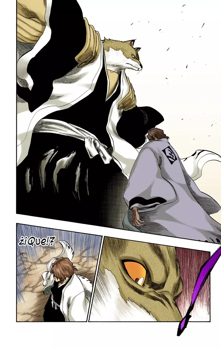 Read Bleach Full Color ES Manga Online