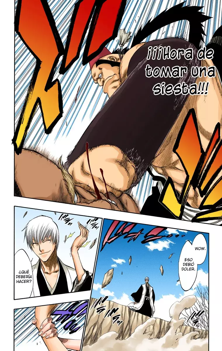Read Bleach Full Color ES Manga Online