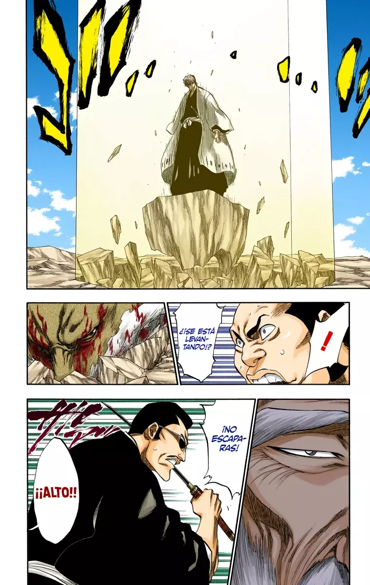Read Bleach Full Color ES Manga Online