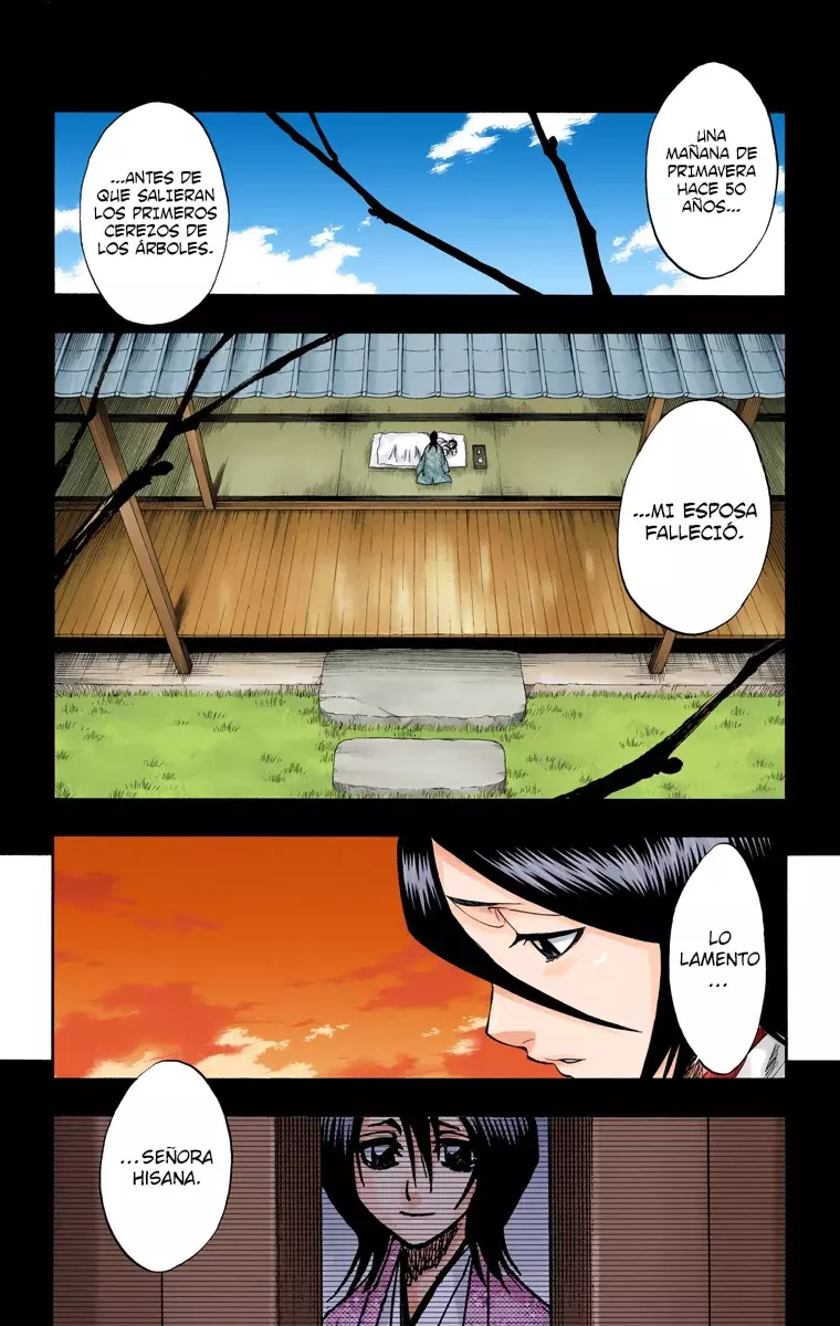 Read Bleach Full Color ES Manga Online
