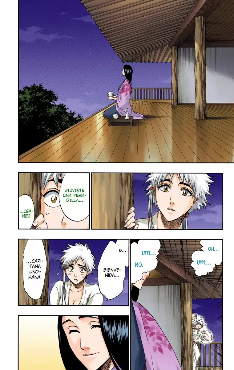 Read Bleach Full Color ES Manga Online