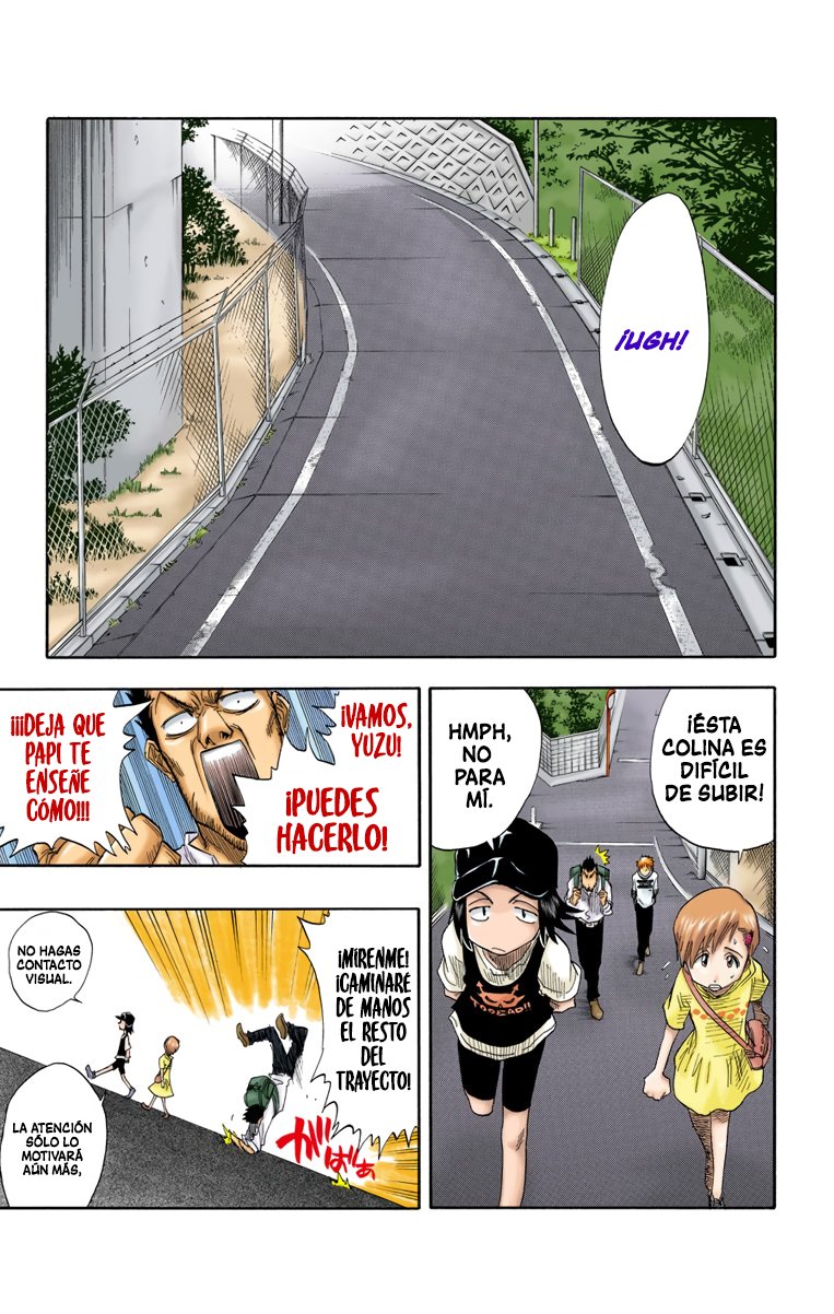 Read Bleach Full Color ES Manga Online