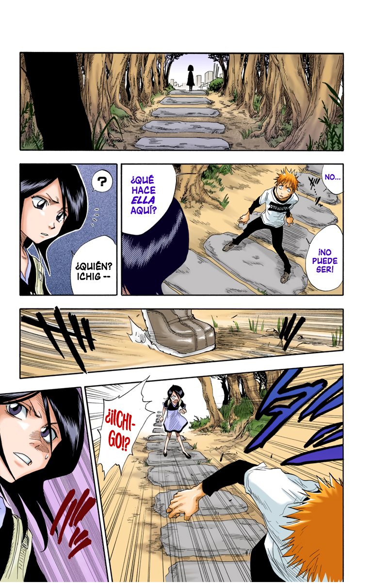 Read Bleach Full Color ES Manga Online