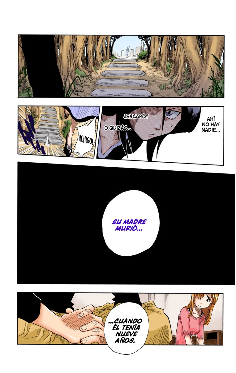 Read Bleach Full Color ES Manga Online