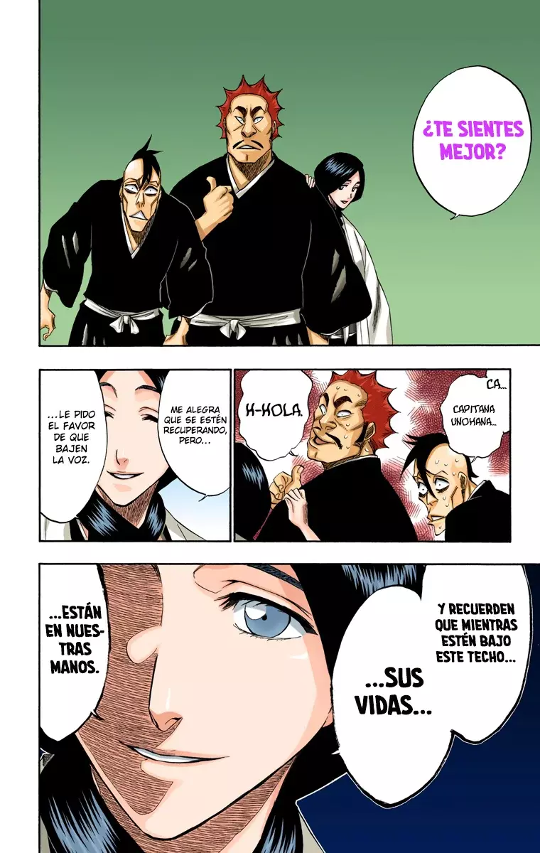 Read Bleach Full Color ES Manga Online