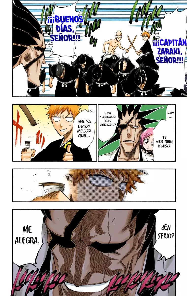 Read Bleach Full Color ES Manga Online