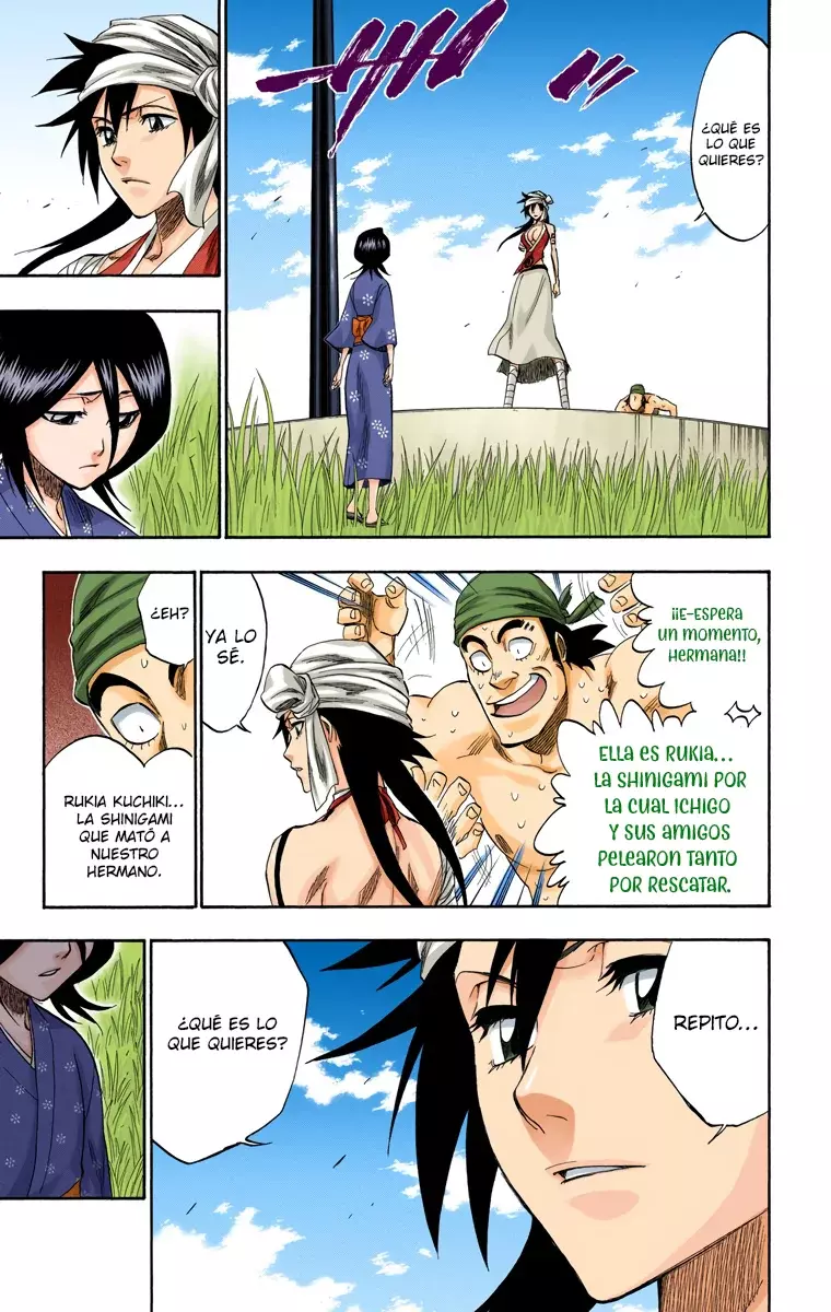 Read Bleach Full Color ES Manga Online