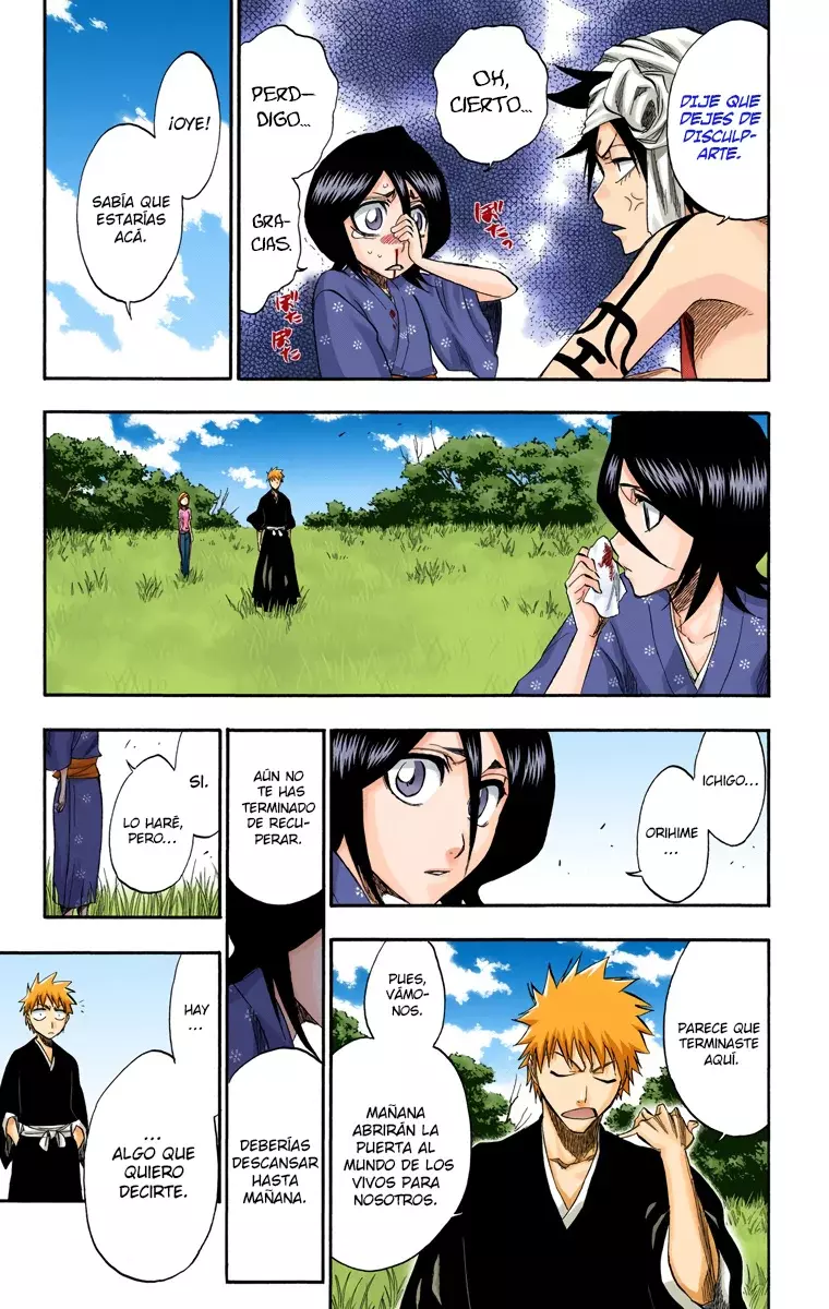 Read Bleach Full Color ES Manga Online