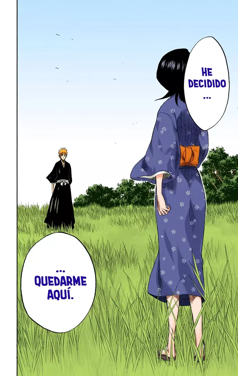 Read Bleach Full Color ES Manga Online