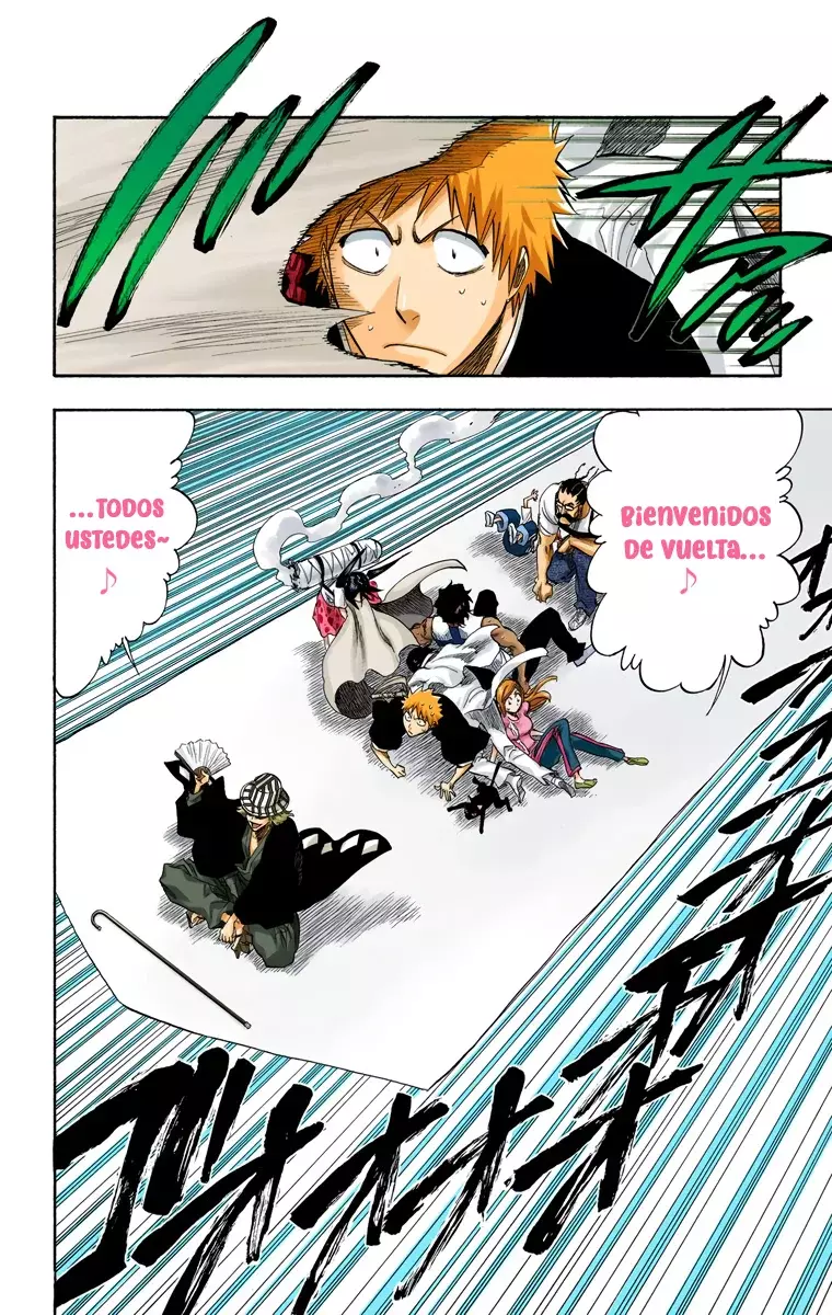Read Bleach Full Color ES Manga Online
