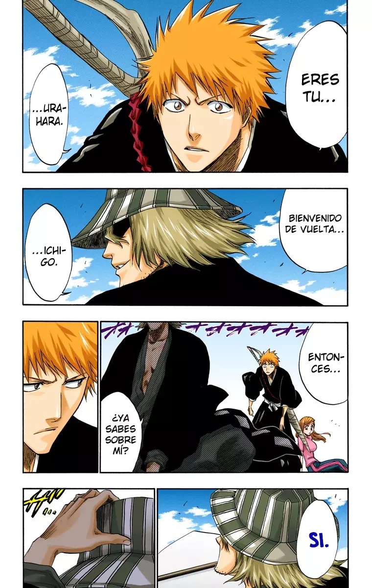 Read Bleach Full Color ES Manga Online