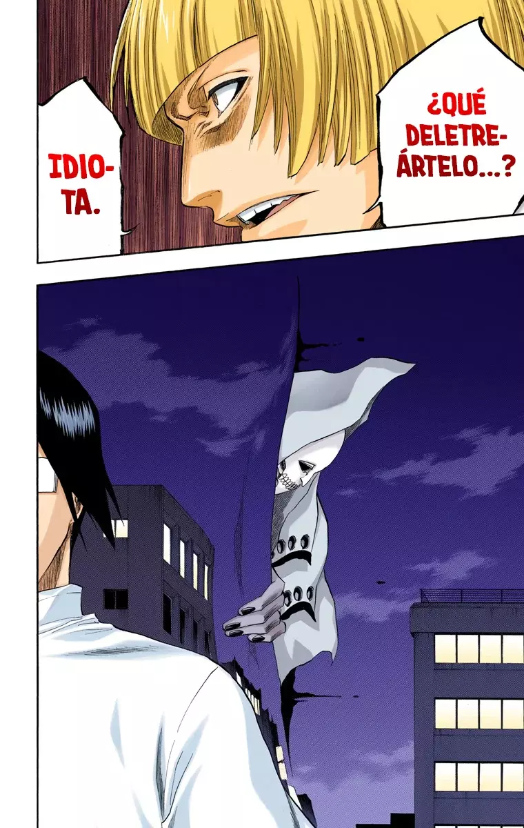 Read Bleach Full Color ES Manga Online