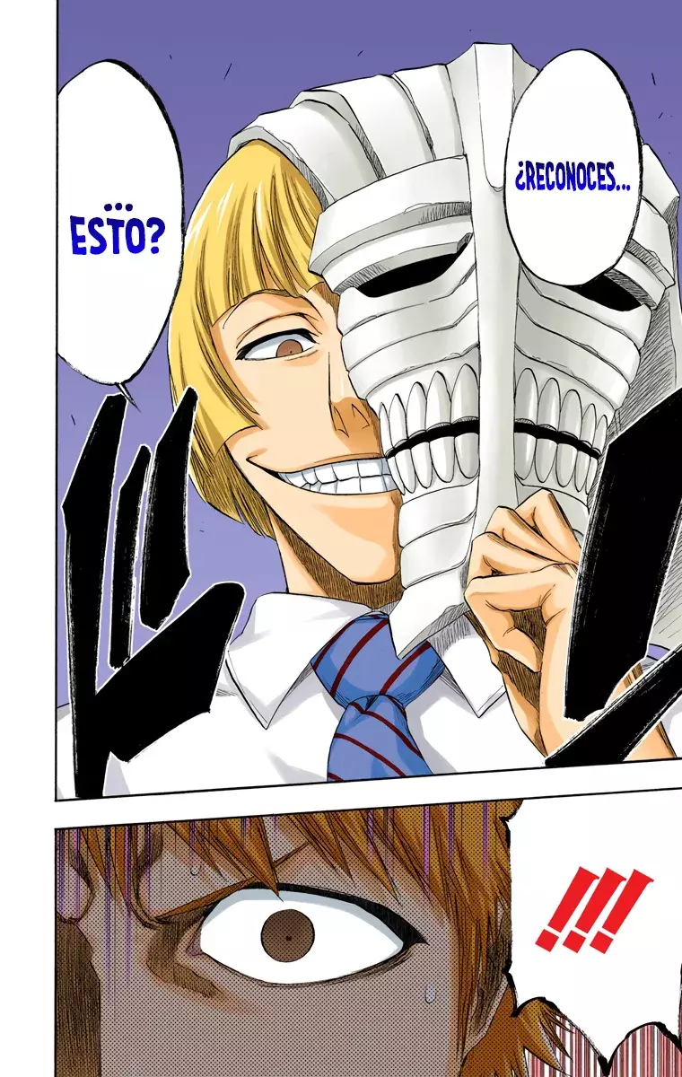 Read Bleach Full Color ES Manga Online