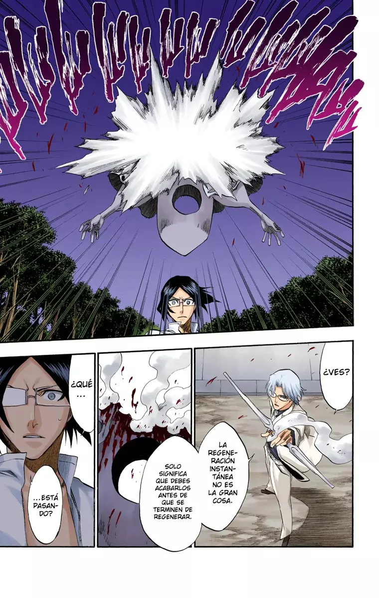 Read Bleach Full Color ES Manga Online