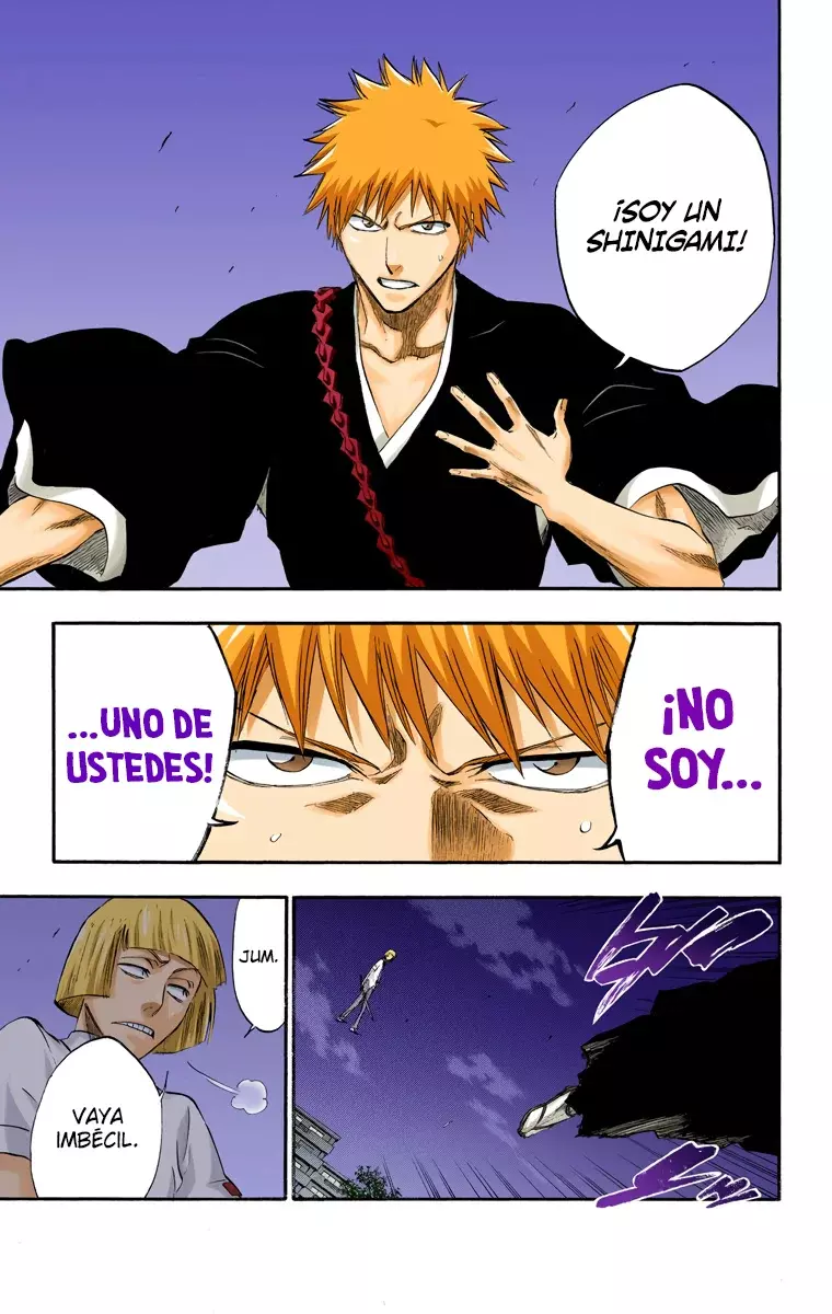 Read Bleach Full Color ES Manga Online