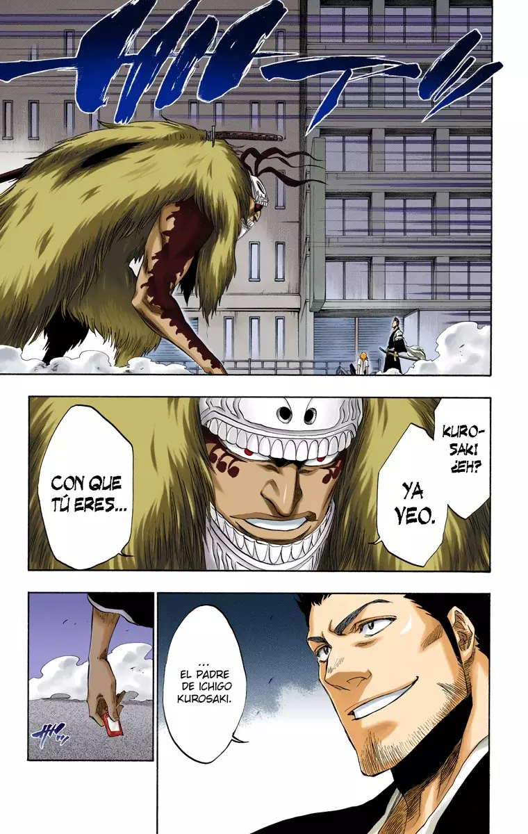 Read Bleach Full Color ES Manga Online