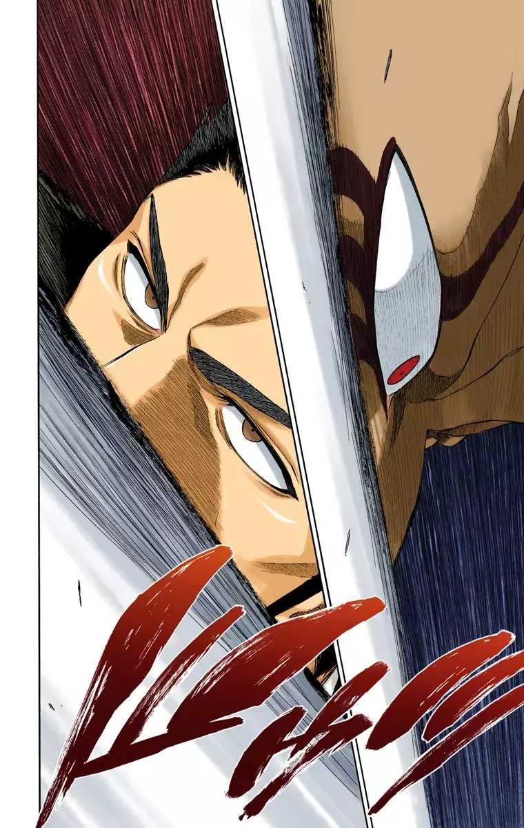 Read Bleach Full Color ES Manga Online