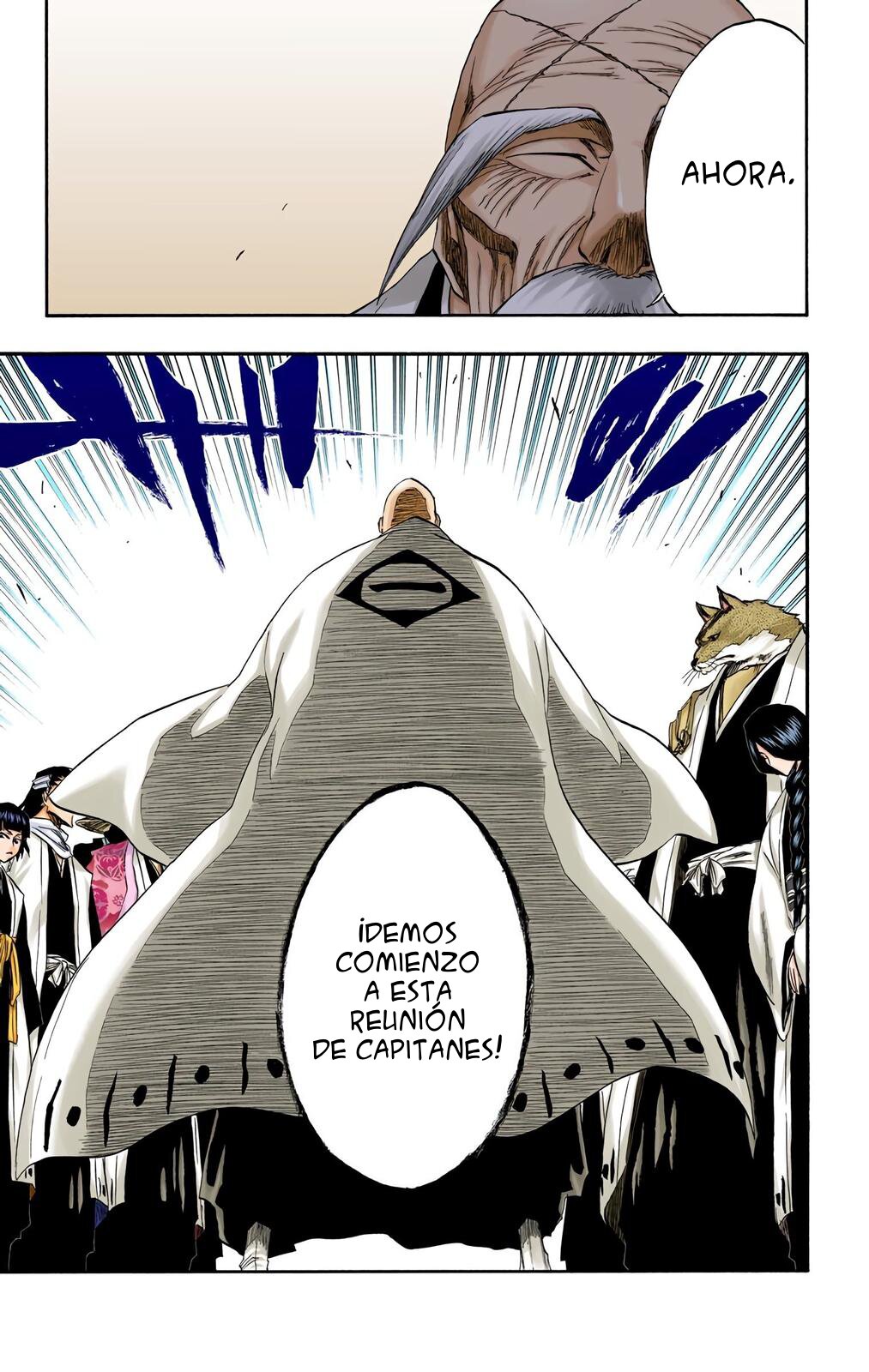 Read Bleach Full Color ES Manga Online
