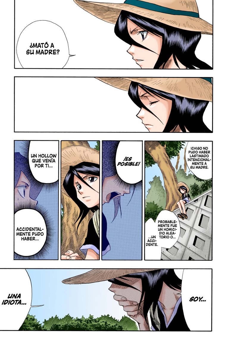 Read Bleach Full Color ES Manga Online