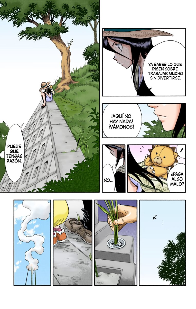 Read Bleach Full Color ES Manga Online
