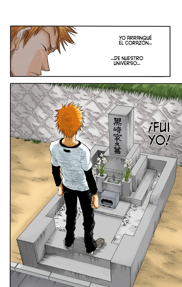 Read Bleach Full Color ES Manga Online