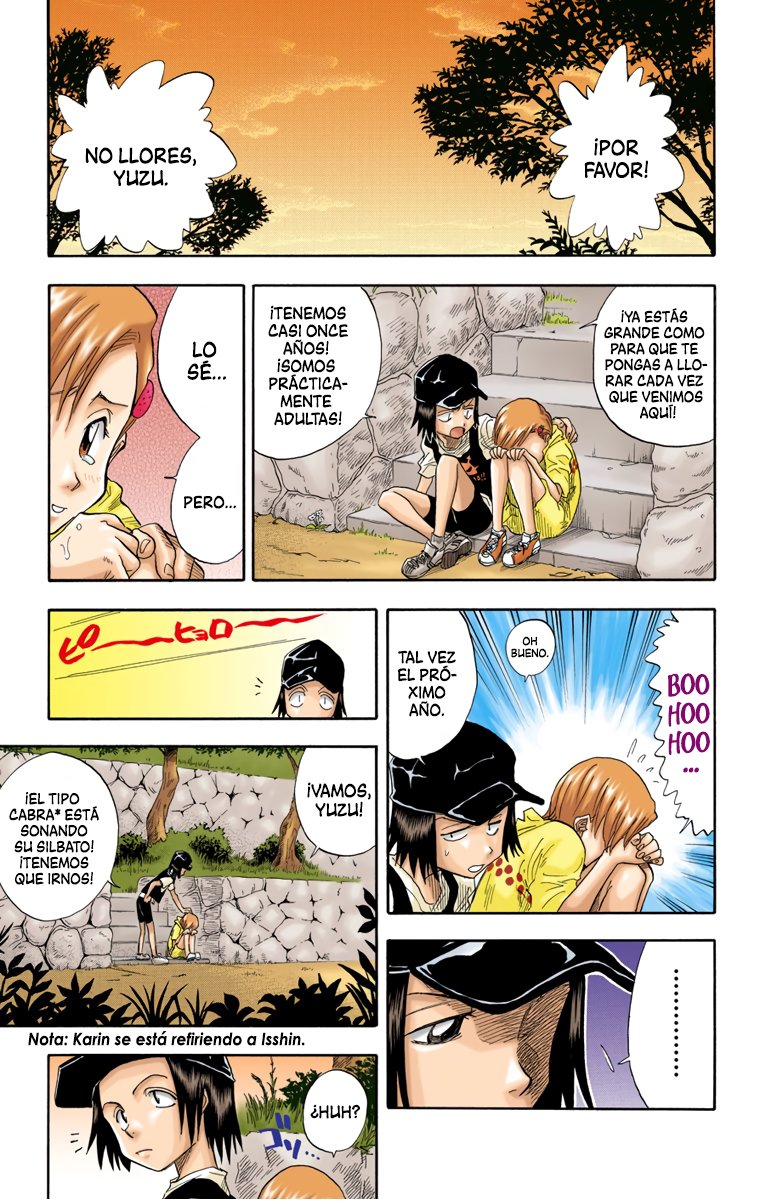 Read Bleach Full Color ES Manga Online