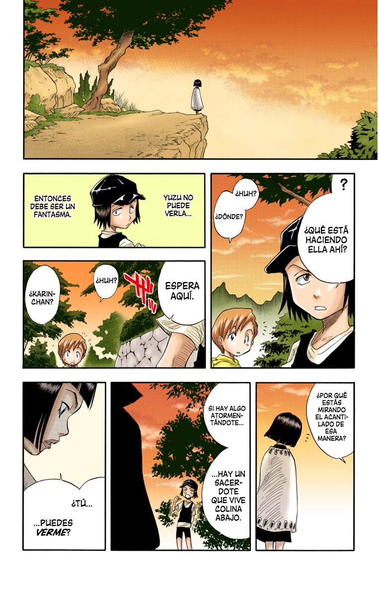 Read Bleach Full Color ES Manga Online