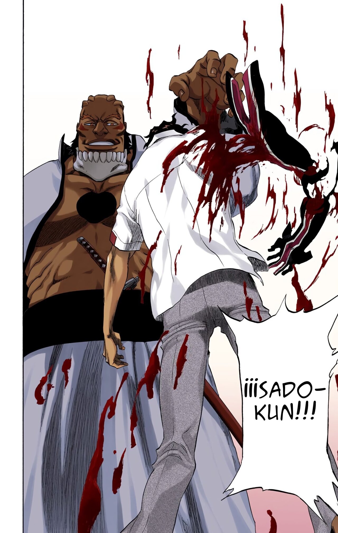 Read Bleach Full Color ES Manga Online