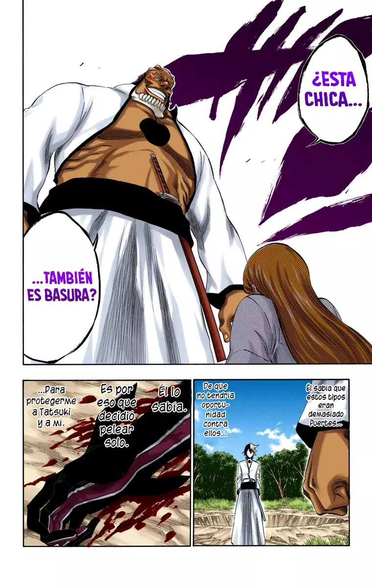 Read Bleach Full Color ES Manga Online