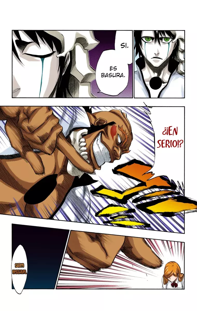 Read Bleach Full Color ES Manga Online