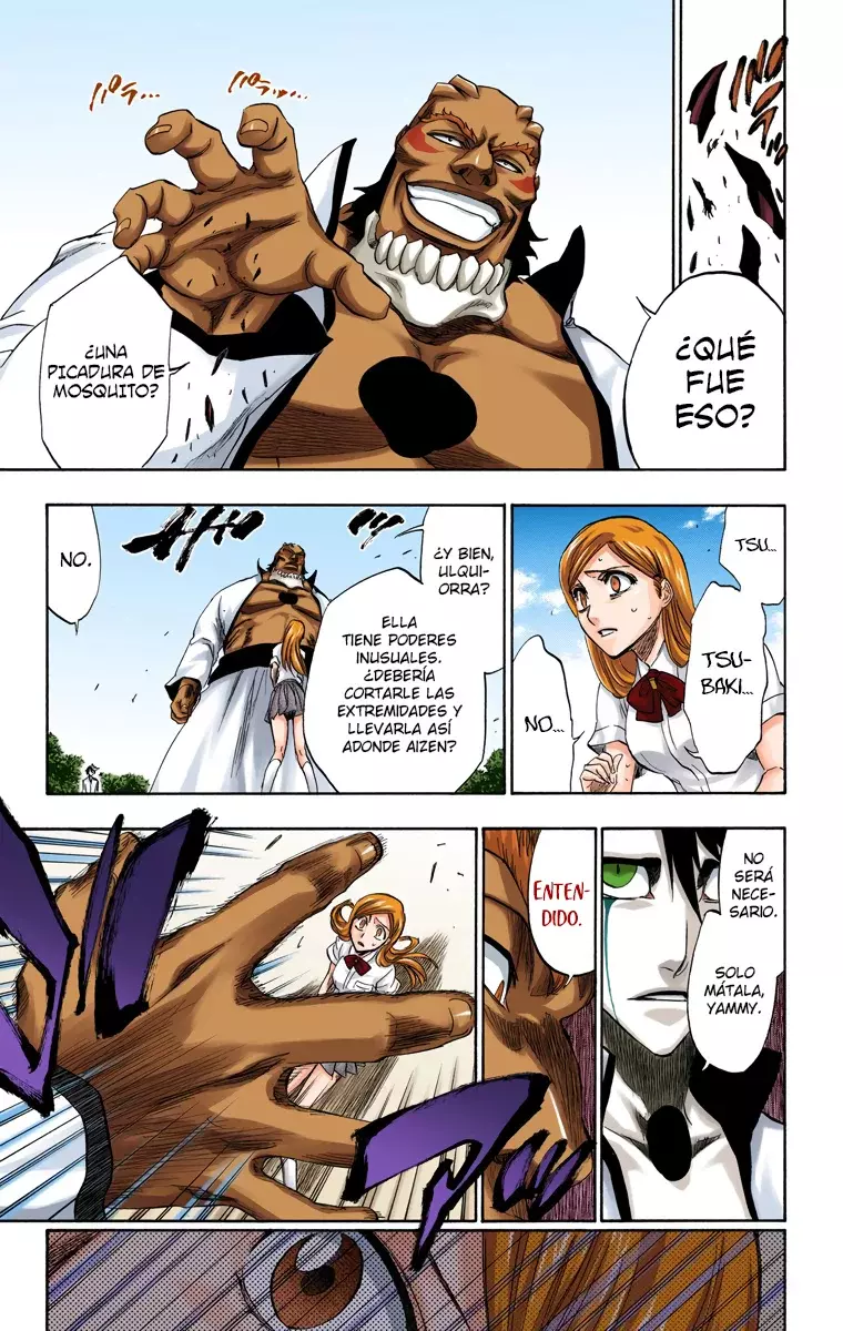 Read Bleach Full Color ES Manga Online