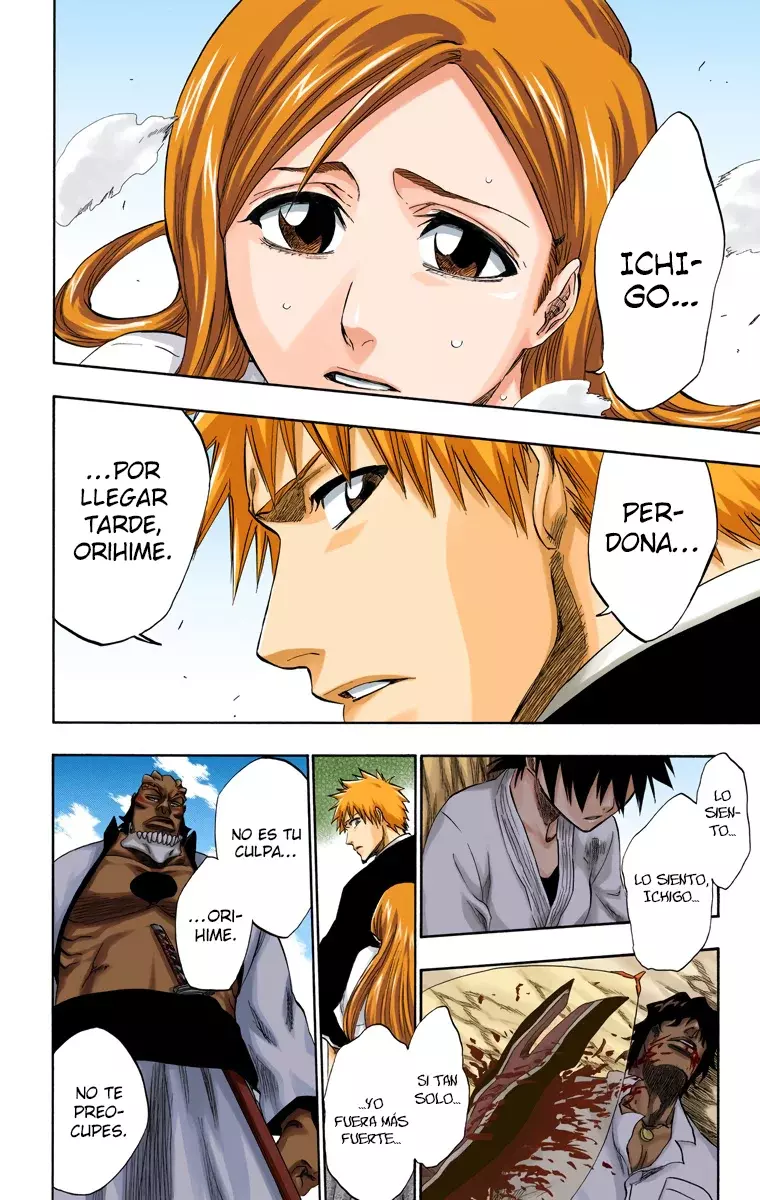 Read Bleach Full Color ES Manga Online